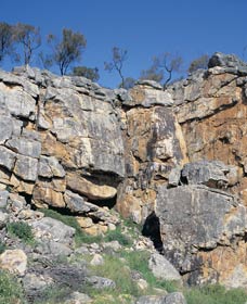 Gunyidi ACT Sunshine Coast Guide