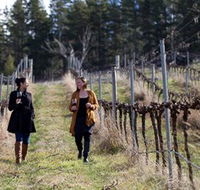 Mount Majura Vineyard - Sunshine Coast Guide