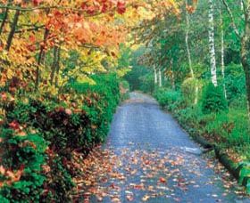 Mount Wilson And Mount Irvine - Sunshine Coast Guide 0