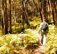 Federal Pass - Sunshine Coast Guide