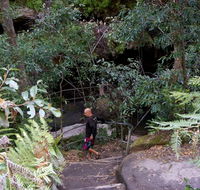 Leura Cascades Fern Bower - Sunshine Coast Guide