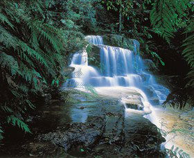 Leura NSW Sunshine Coast Guide