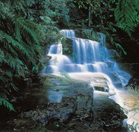 Leura Cascades - Sunshine Coast Guide