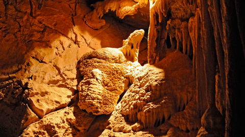 Wombeyan Karst Conservation Reserve - Sunshine Coast Guide 2