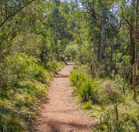 Mares Forest Creek walking track - Sunshine Coast Guide