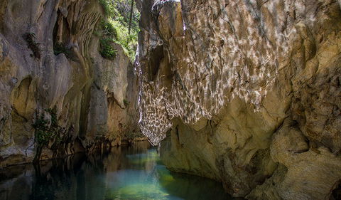Mares Forest Creek Walking Track - Sunshine Coast Guide 2