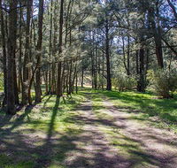 Wombeyan Waterfall walking track - Sunshine Coast Guide