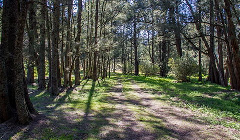 Wombeyan Waterfall Walking Track - Sunshine Coast Guide 0