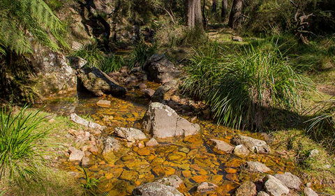 Wombeyan Waterfall Walking Track - Sunshine Coast Guide 1