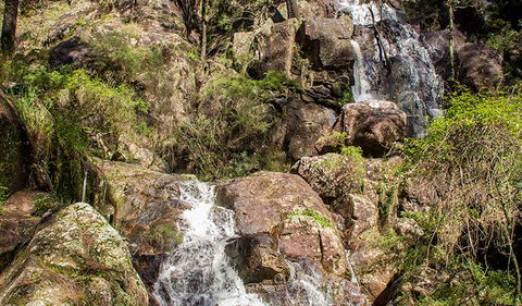 Wombeyan Waterfall Walking Track - Sunshine Coast Guide 3