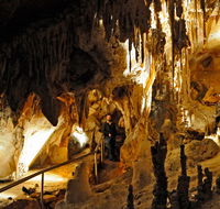 Wollondilly Cave - Sunshine Coast Guide