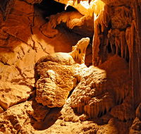 Fig Tree Cave - Sunshine Coast Guide