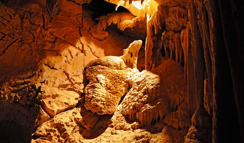 Fig Tree Cave - Sunshine Coast Guide 0