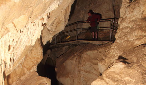 Fig Tree Cave - Sunshine Coast Guide 3
