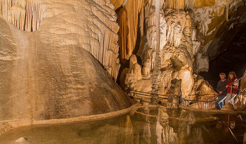 Junction Cave - Sunshine Coast Guide 0