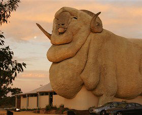 Big Merino - Sunshine Coast Guide 3