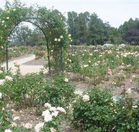 Victoria Park Rose Garden - Sunshine Coast Guide