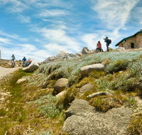 Mount Kosciuszko Summit walk - Sunshine Coast Guide