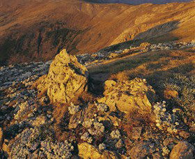 Kosciuszko National Park - Charlottes Pass To Snowy River - Sunshine Coast Guide 1