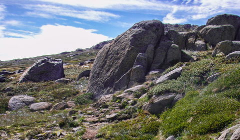 Mount Stillwell Walk - Sunshine Coast Guide 0