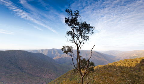 Salisbury Waters Walking Track - Sunshine Coast Guide 0