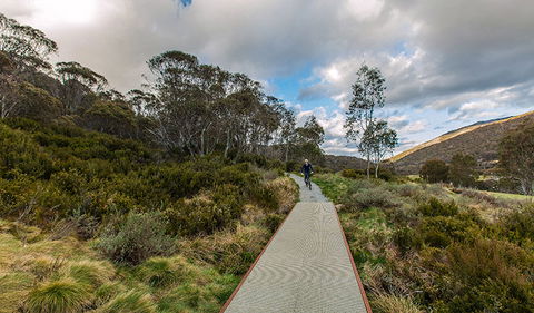 Thredbo Valley Track - Sunshine Coast Guide 0