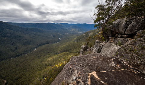 Mann River Nature Reserve - Sunshine Coast Guide 2