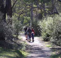 Syd's Rapids and Aboriginal Heritage Trail Avon Valley - Sunshine Coast Guide