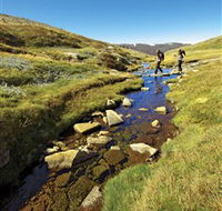 Australian Alps Walking Track