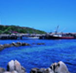 King Island Dairies - Sunshine Coast Guide