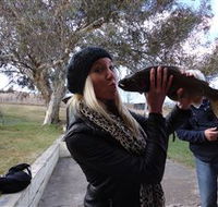 Eucumbene Trout Farm - Sunshine Coast Guide