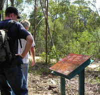 Finchley cultural walk - Sunshine Coast Guide