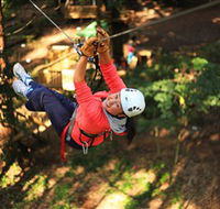 Trees Adventure Grose River Park - Sunshine Coast Guide