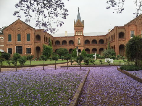Sacred Spaces At The Sisters Of Mercy Convent - Sunshine Coast Guide 12