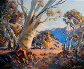 Kunama Snowy Mountains Centre For The Arts - Sunshine Coast Guide 0