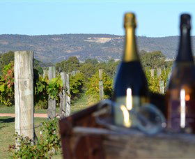 Ugly Duckling Wines - Sunshine Coast Guide 1