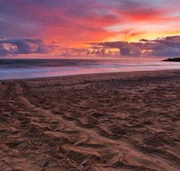 Mon Repos Beach - Sunshine Coast Guide