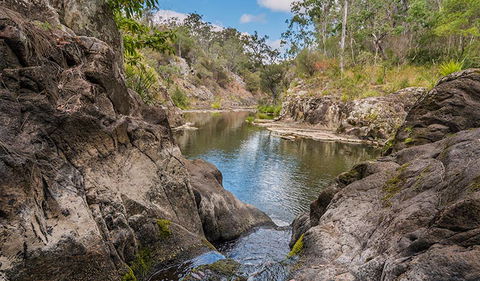 Gorge Walking Track - Sunshine Coast Guide 0