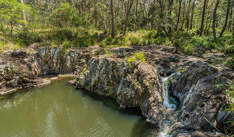 Gorge Walking Track - Sunshine Coast Guide 1