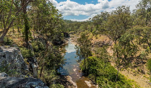 Gorge Walking Track - Sunshine Coast Guide 2