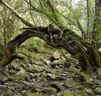 Mitchell River National Park - Sunshine Coast Guide