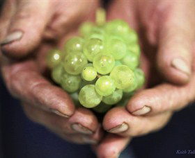 Keith Tulloch Wine - Sunshine Coast Guide 1