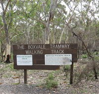 Box Vale Picnic Area - Sunshine Coast Guide