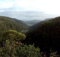 Nattai Gorge Lookout - Sunshine Coast Guide