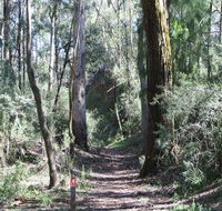 Box Vale Mine Walking Track and Lookout - Sunshine Coast Guide