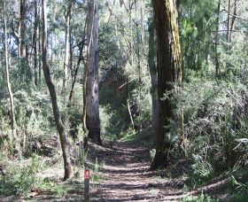 Box Vale Mine Walking Track And Lookout - Sunshine Coast Guide 0