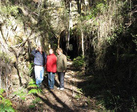 Box Vale Mine Walking Track And Lookout - Sunshine Coast Guide 4