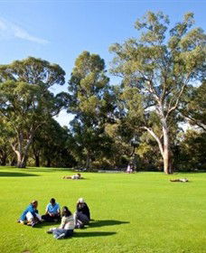 Kings Park And Botanic Garden - Sunshine Coast Guide 1
