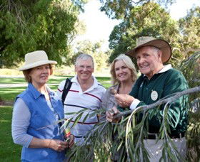Kings Park And Botanic Garden - Sunshine Coast Guide 3