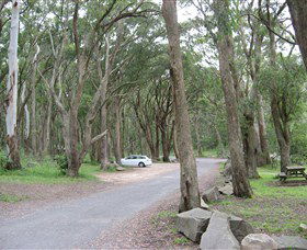 Mount Gibraltar - Sunshine Coast Guide 4